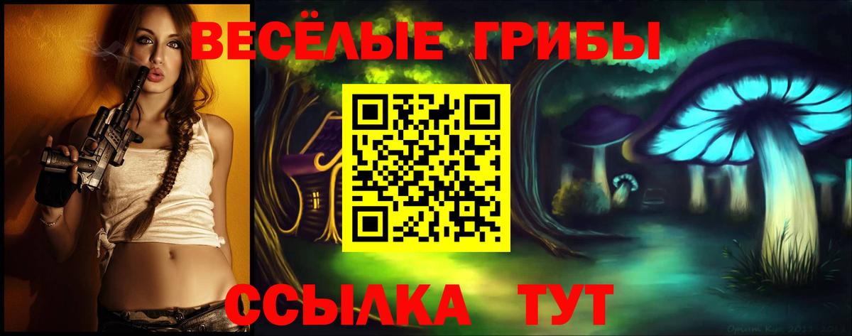 Смоленск  Псилоцибиновые грибы GOLDEN TEACHER  Вход с VPN 